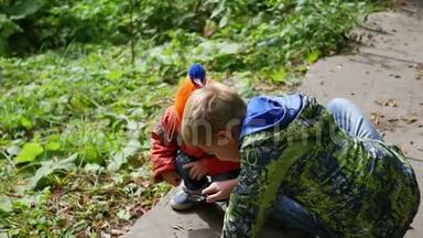 公园里的两个孩子通过<strong>放大镜</strong>检查植物和昆虫。 <strong>学习</strong>外部世界、学前教育